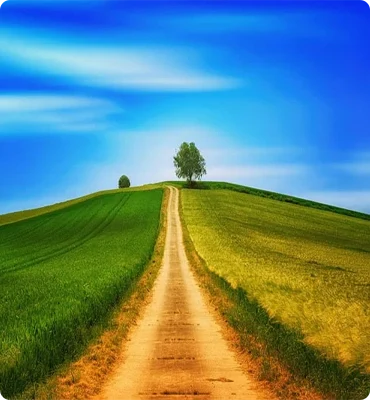 Destin et chemin de vie Destin et chemin de vie
